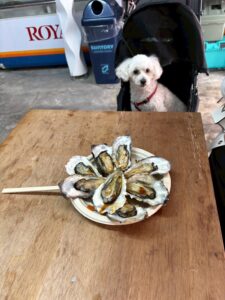 呼子朝市の焼き牡蠣とジョイ
