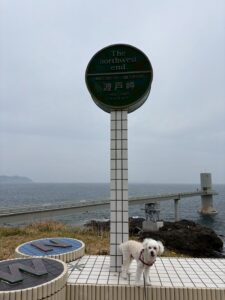 波戸岬でジョイ