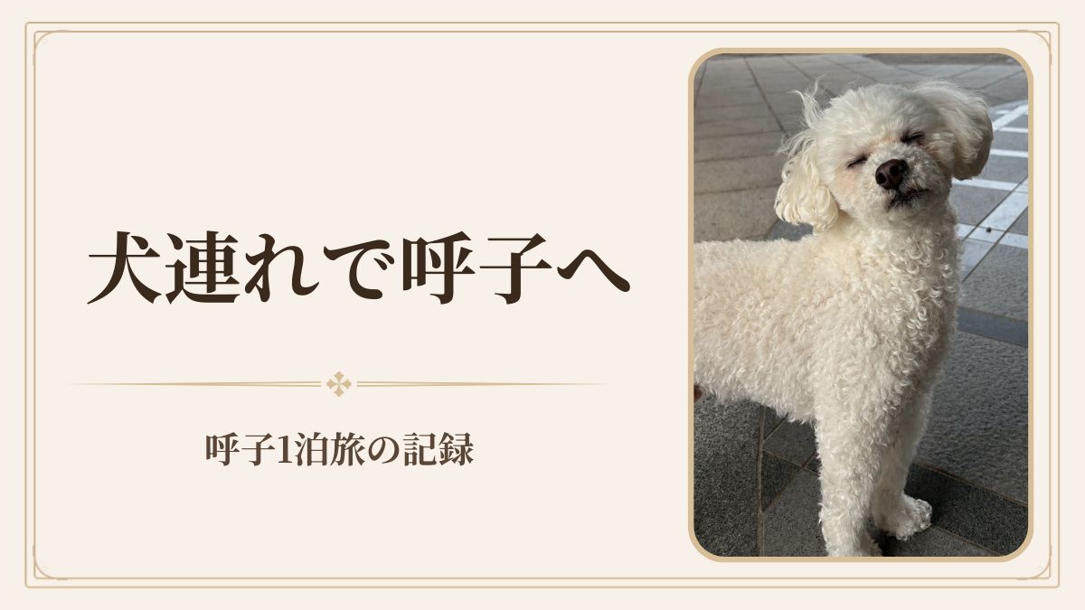 ペット連れ50代の佐賀・呼子旅。犬OK宿と寄り道スポット