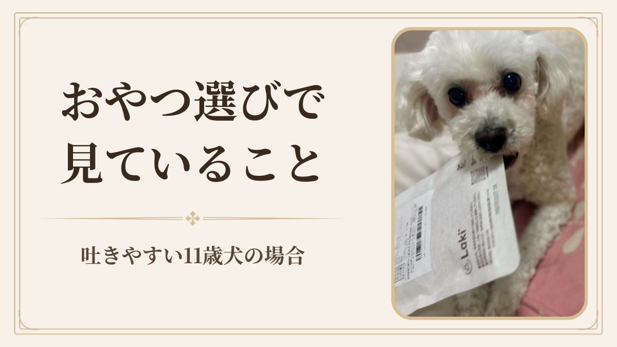 🐩 シニア犬のおやつ選びで見ている5つのこと｜吐きやすい11歳ジョイの場合